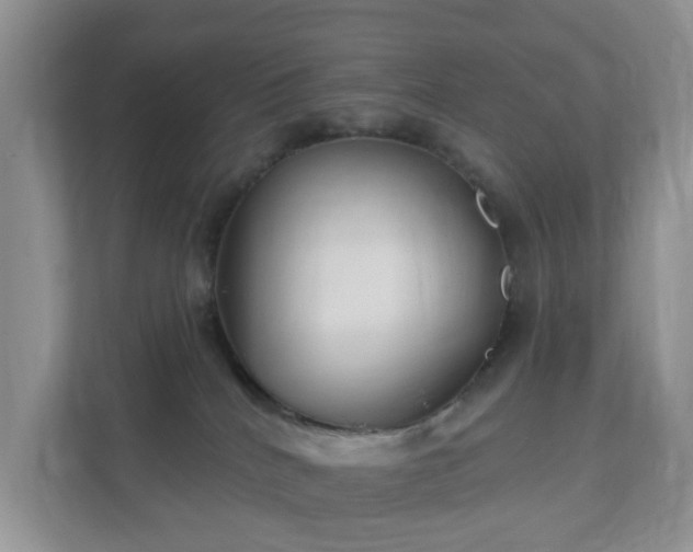 X0000112390040200908201551