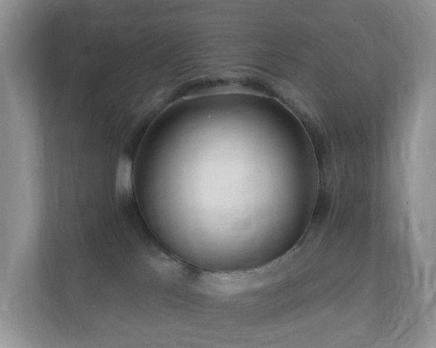 X0000112390041200908201551