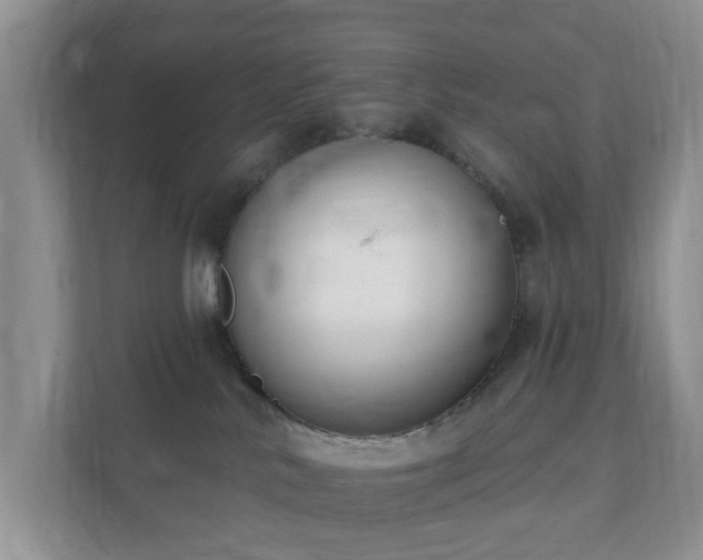 X0000112390042200908201551