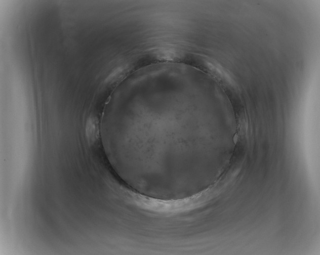 X0000112390043200908201551