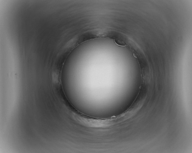 X0000112390044200908201551