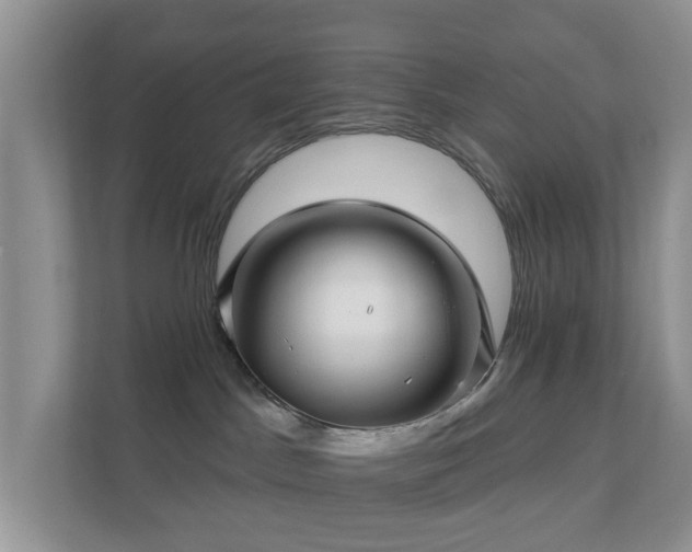 X0000112390045200908201551