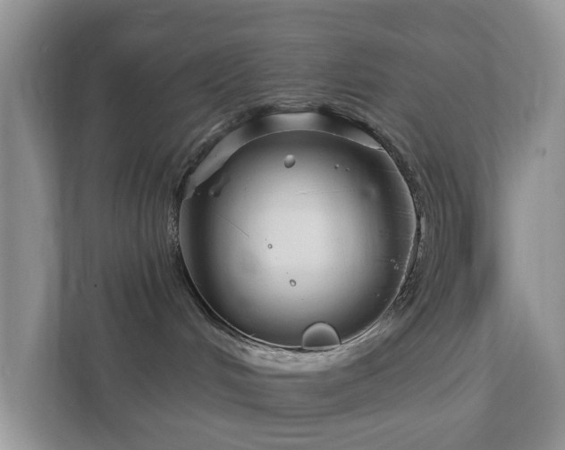 X0000112390048200908201551