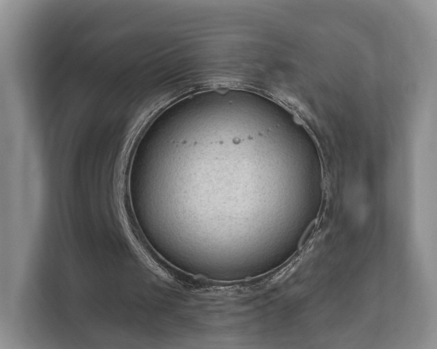 X0000112390049200908201550