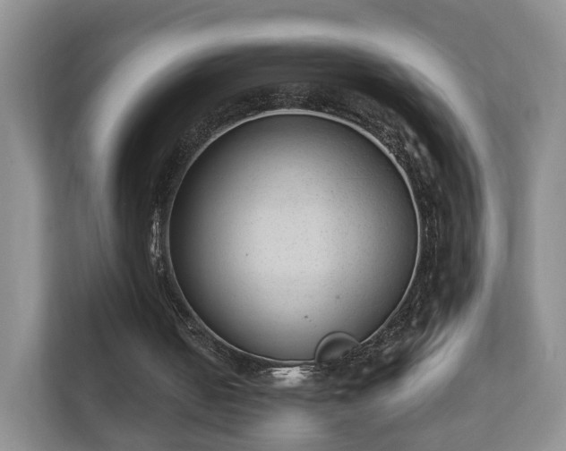 X0000112390050200908201550