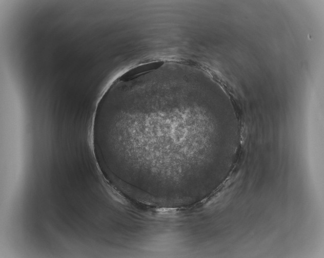 X0000112390052200908201550