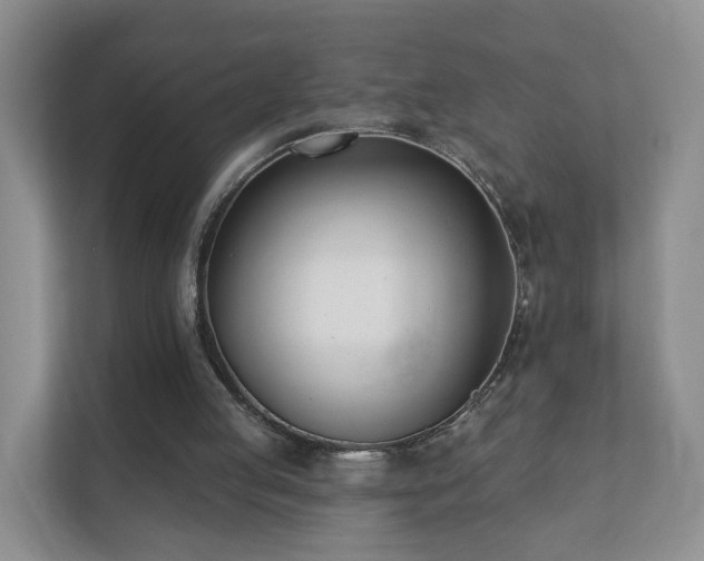 X0000112390053200908201550