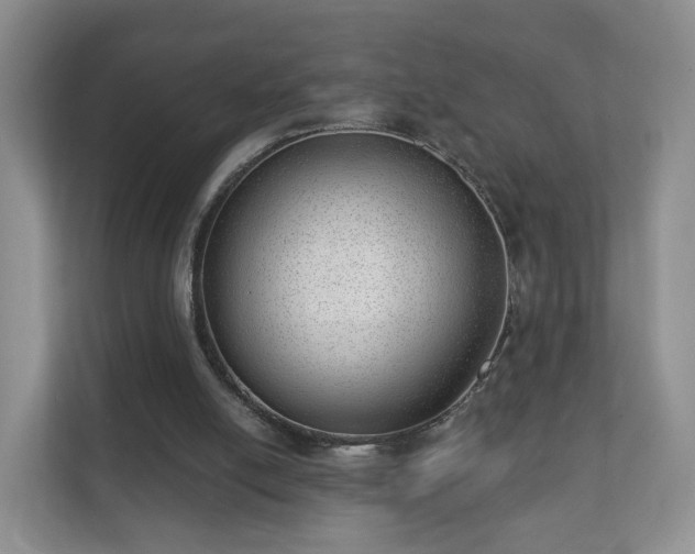 X0000112390054200908201550