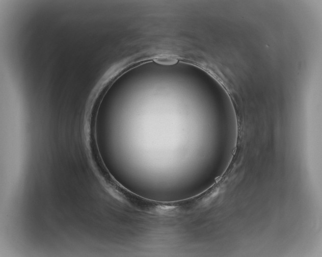 X0000112390055200908201550