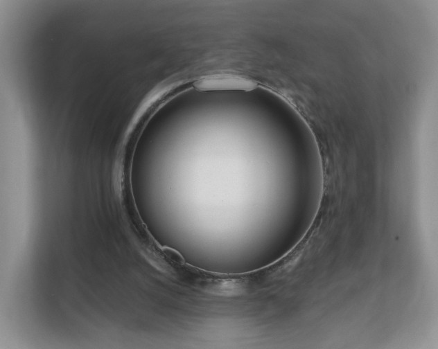 X0000112390056200908201550