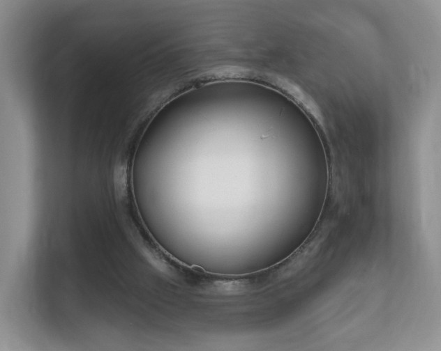 X0000112390057200908201550