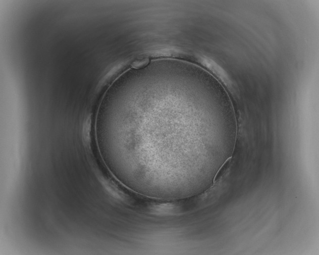 X0000112390058200908201550