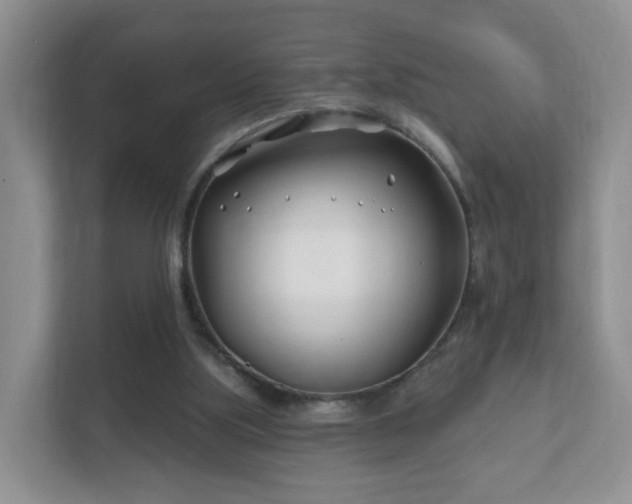 X0000112390059200908201550