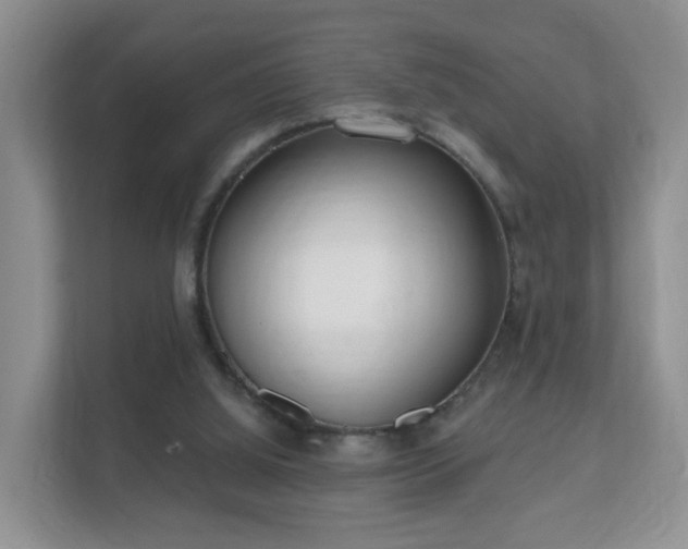 X0000112390060200908201550