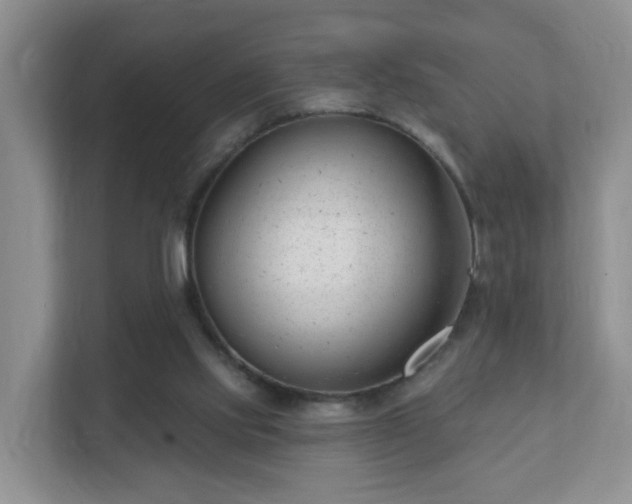 X0000112390061200908201550