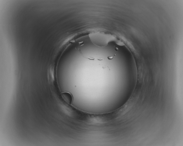 X0000112390062200908201550