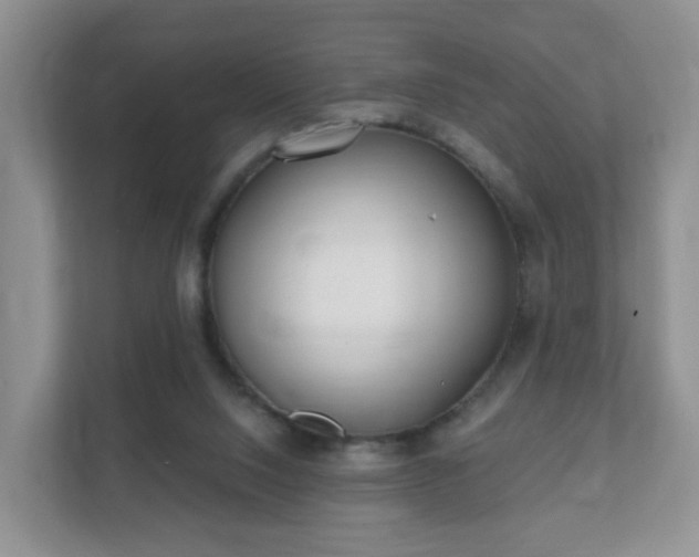 X0000112390064200908201550