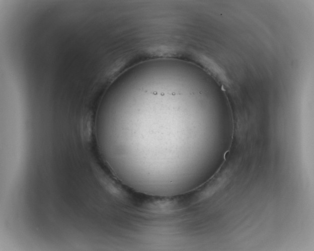 X0000112390065200908201550