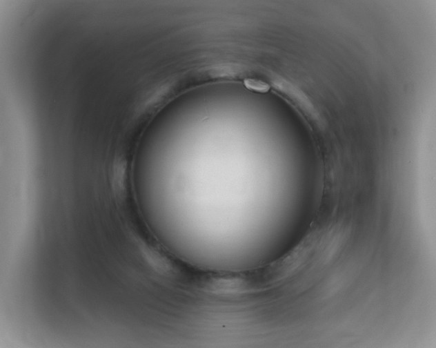 X0000112390066200908201550