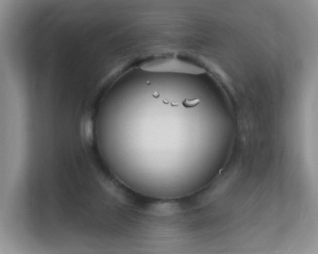 X0000112390067200908201550