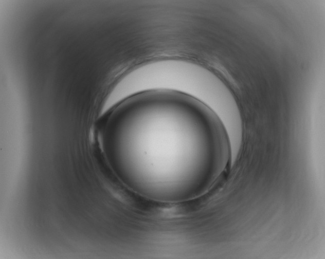 X0000112390068200908201550