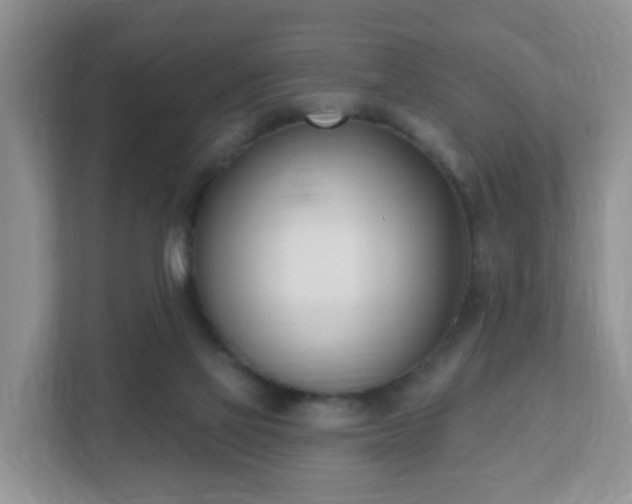 X0000112390069200908201550