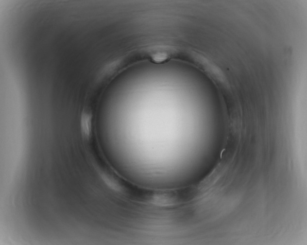 X0000112390070200908201550