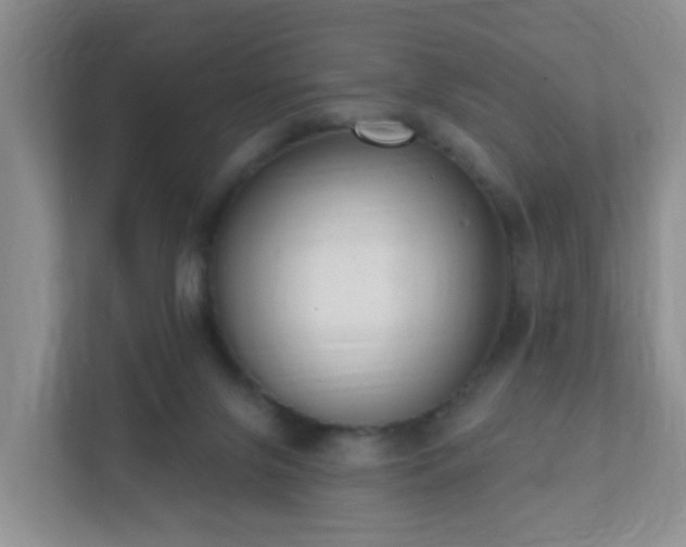 X0000112390071200908201550