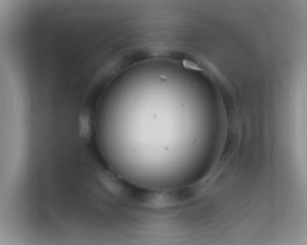 X0000112390074200908201550