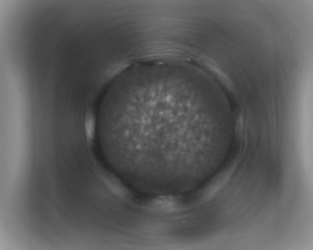 X0000112390076200908201550