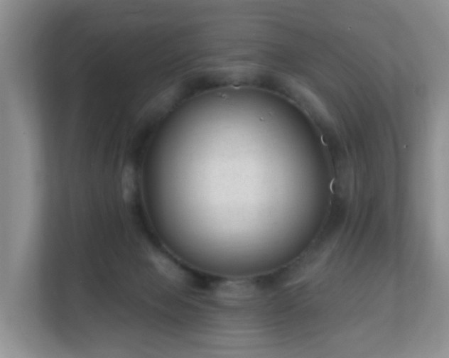 X0000112390077200908201550