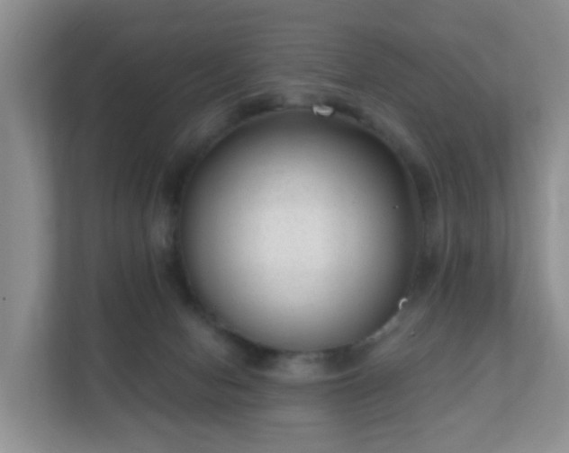 X0000112390078200908201550