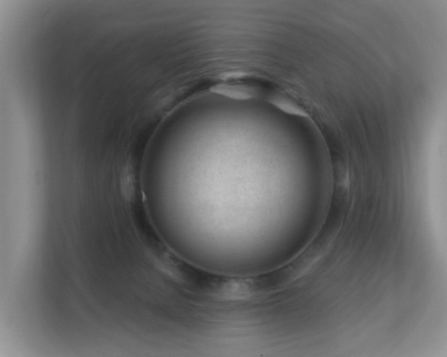 X0000112390080200908201551