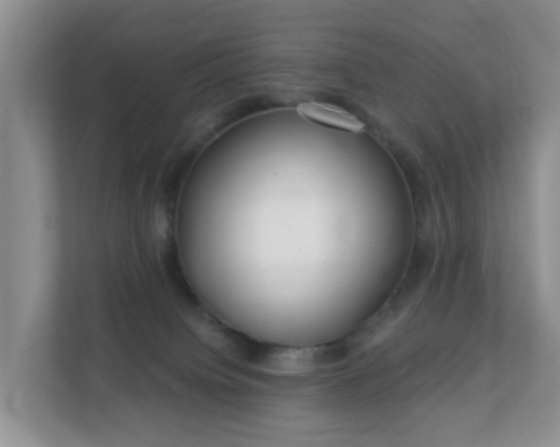 X0000112390084200908201551