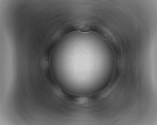 X0000112390085200908201551