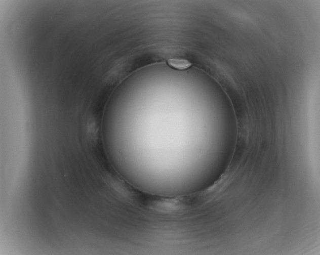 X0000112390086200908201551