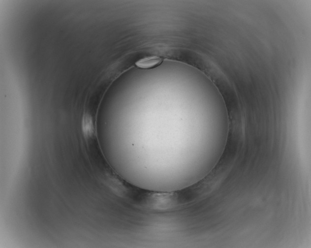 X0000112390089200908201551