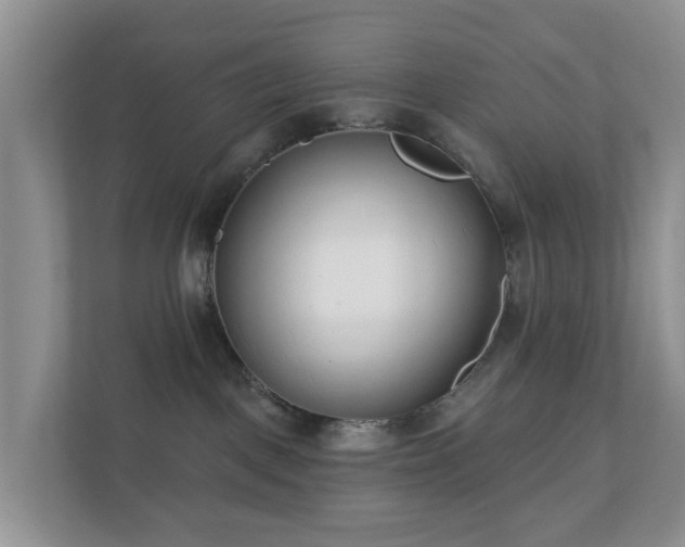 X0000112390093200908201551