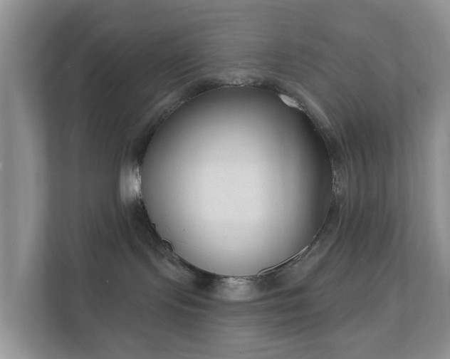 X0000112390095200908201551