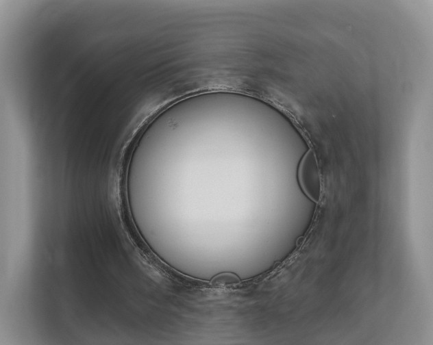 X0000112390098200908201550