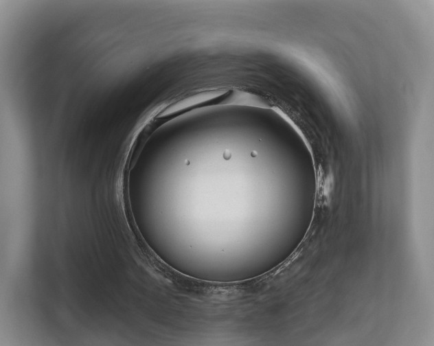 X0000112390099200908201550