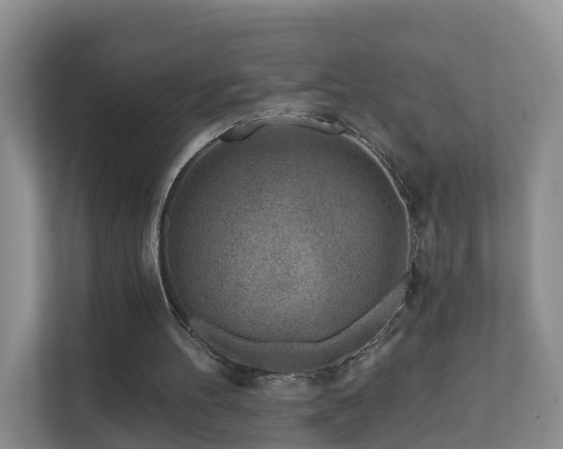 X0000112390100200908201550