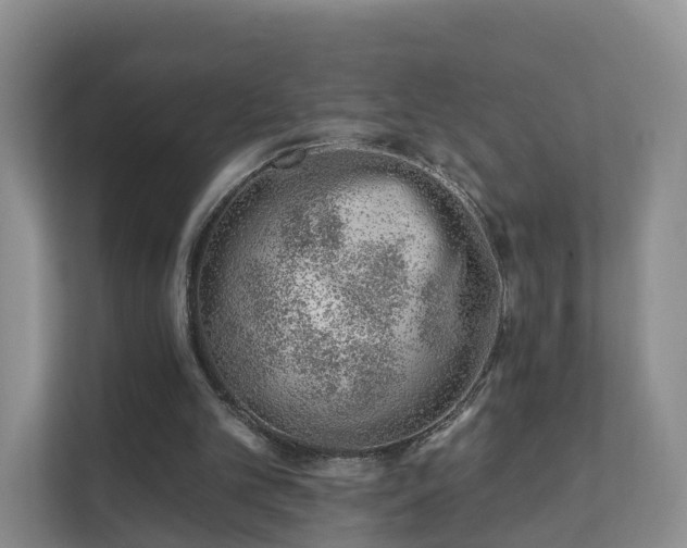 X0000112390101200908201550