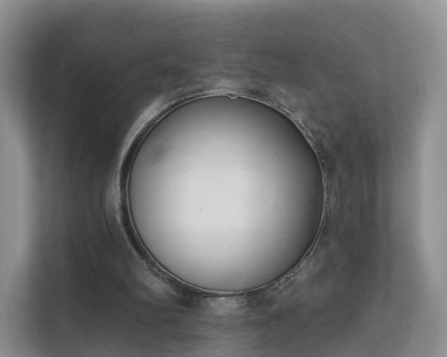 X0000112390102200908201550