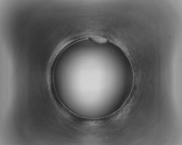 X0000112390103200908201550