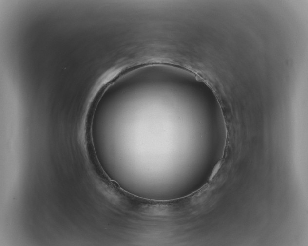 X0000112390104200908201550