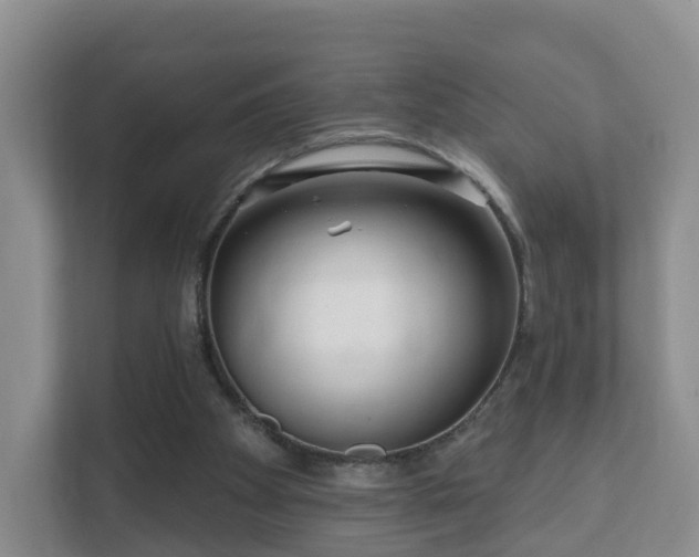 X0000112390105200908201550