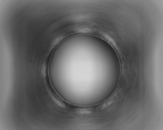 X0000112390106200908201550