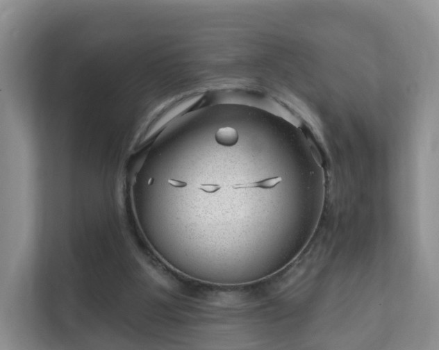 X0000112390107200908201550