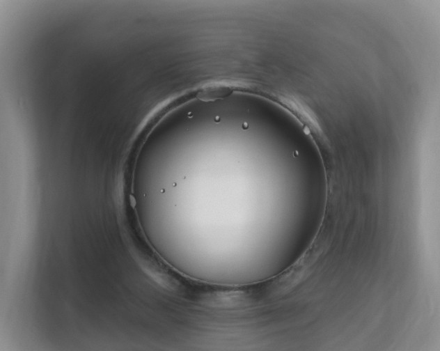 X0000112390108200908201550